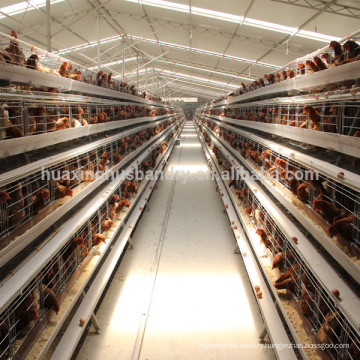 good quality best selling new design equipments for poultry farms